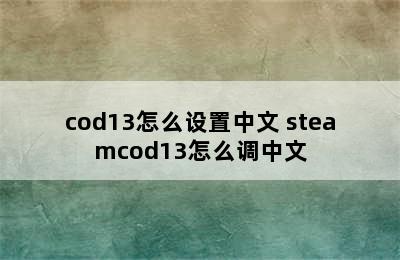 cod13怎么设置中文 steamcod13怎么调中文